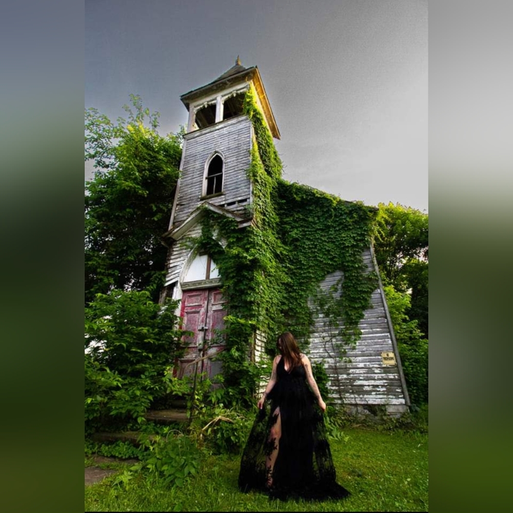 Flocked Velvet Dress